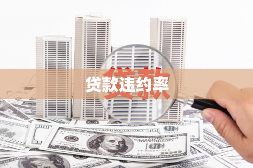 浈江贷款违约率