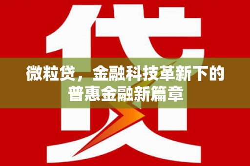 浈江微粒贷，金融科技革新下的普惠金融新篇章