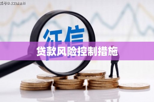 浈江贷款风险控制措施