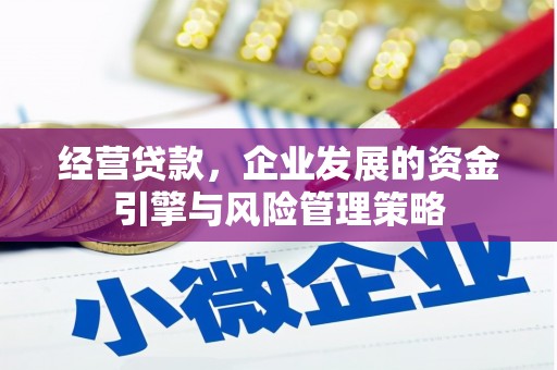 浈江经营贷款，企业发展的资金引擎与风险管理策略