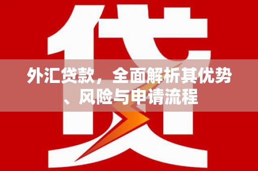 浈江外汇贷款，全面解析其优势、风险与申请流程