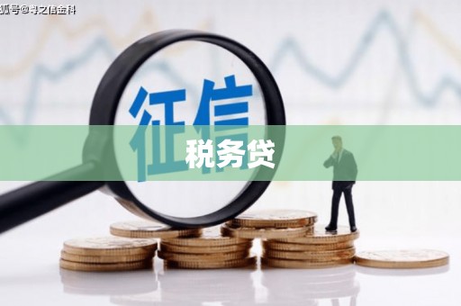 浈江税务贷