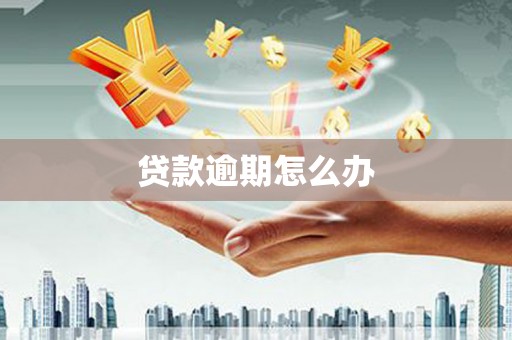 浈江贷款逾期怎么办
