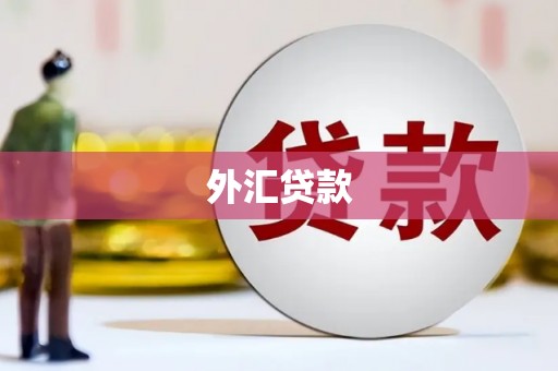 浈江外汇贷款