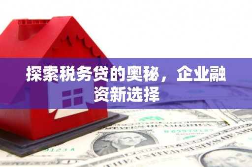 浈江探索税务贷的奥秘，企业融资新选择