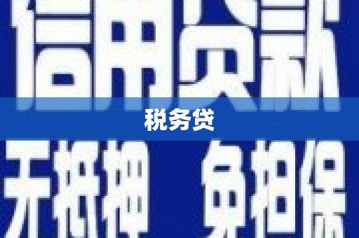 浈江税务贷