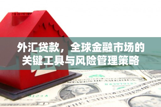 浈江外汇贷款，全球金融市场的关键工具与风险管理策略