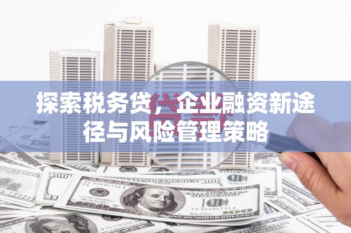浈江探索税务贷，企业融资新途径与风险管理策略