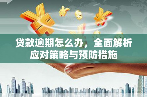 浈江贷款逾期怎么办，全面解析应对策略与预防措施