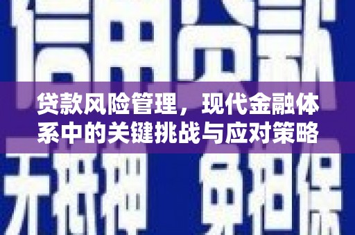 浈江贷款风险管理，现代金融体系中的关键挑战与应对策略