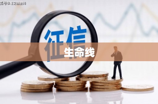 浈江生命线