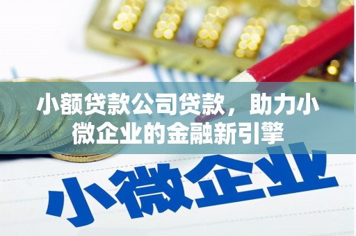 浈江小额贷款公司贷款，助力小微企业的金融新引擎