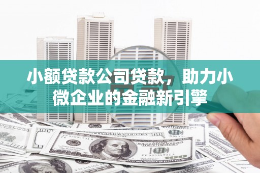 浈江小额贷款公司贷款，助力小微企业的金融新引擎