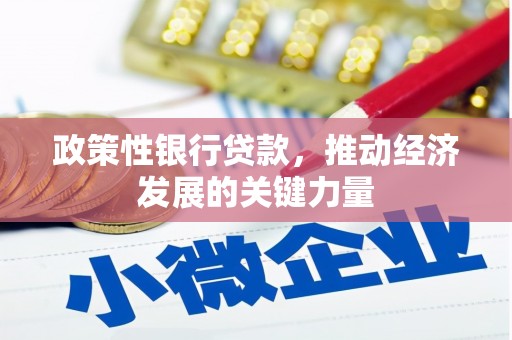 浈江政策性银行贷款，推动经济发展的关键力量