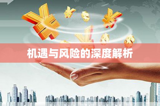 浈江机遇与风险的深度解析