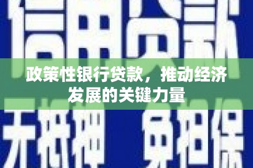 浈江政策性银行贷款，推动经济发展的关键力量
