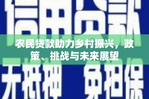 浈江农民贷款助力乡村振兴，政策、挑战与未来展望
