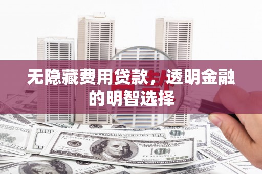 浈江无隐藏费用贷款，透明金融的明智选择