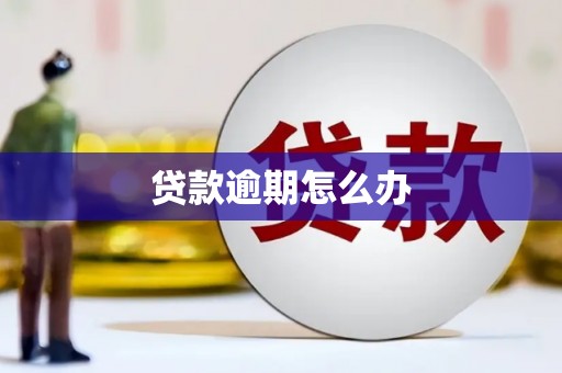 浈江贷款逾期怎么办