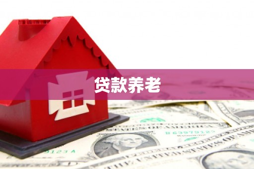 浈江贷款养老