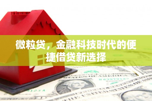 浈江微粒贷，金融科技时代的便捷借贷新选择