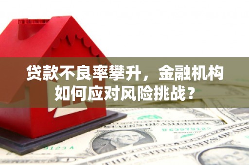 浈江贷款不良率攀升，金融机构如何应对风险挑战？