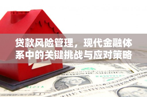 浈江贷款风险管理，现代金融体系中的关键挑战与应对策略