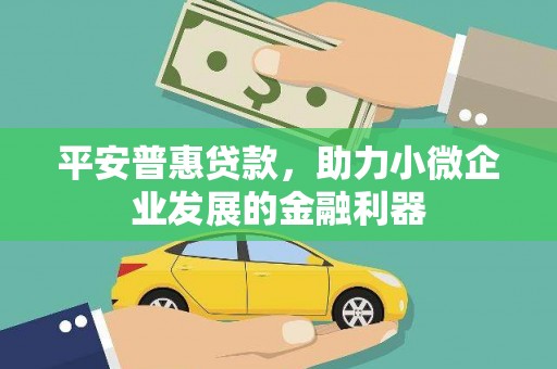 浈江平安普惠贷款，助力小微企业发展的金融利器