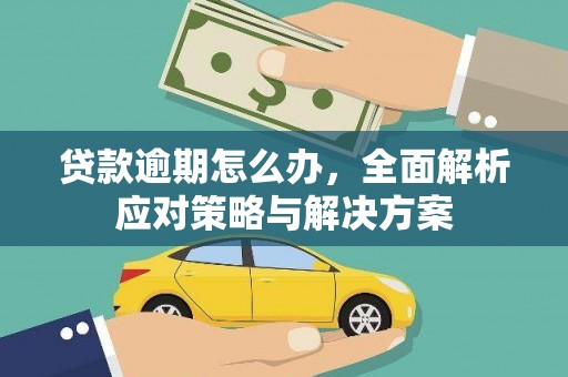 浈江贷款逾期怎么办，全面解析应对策略与解决方案