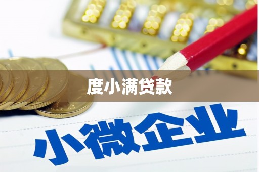 浈江度小满贷款