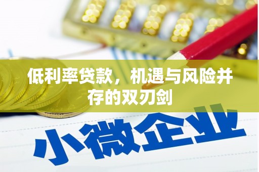 浈江低利率贷款，机遇与风险并存的双刃剑