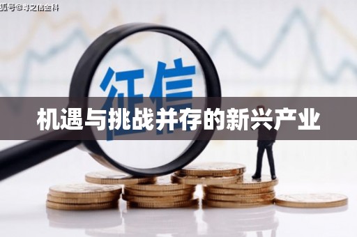 浈江机遇与挑战并存的新兴产业