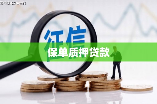 浈江保单质押贷款