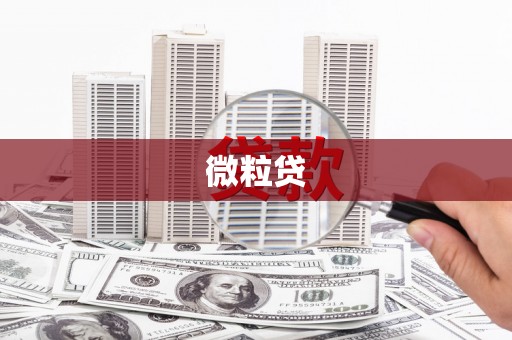 浈江微粒贷