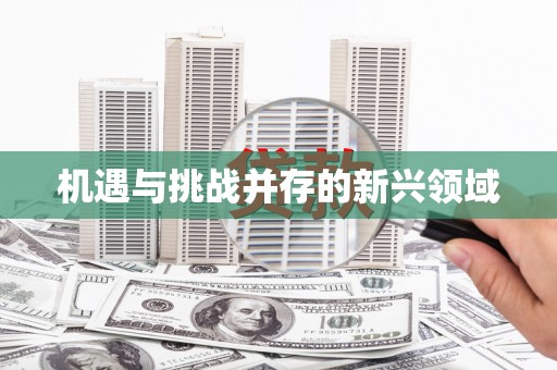 浈江机遇与挑战并存的新兴领域