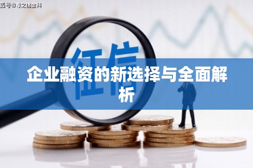 浈江企业融资的新选择与全面解析