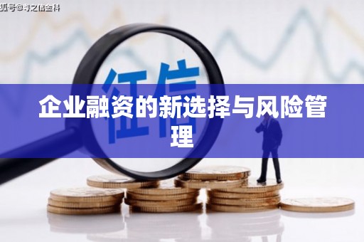 浈江企业融资的新选择与风险管理