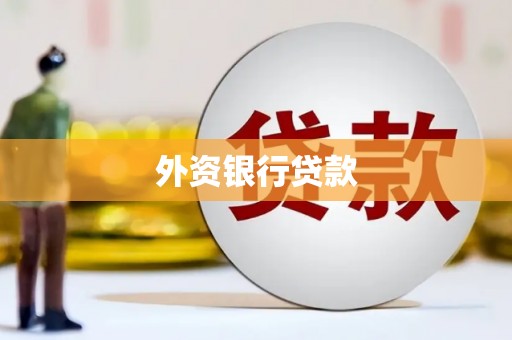 浈江外资银行贷款
