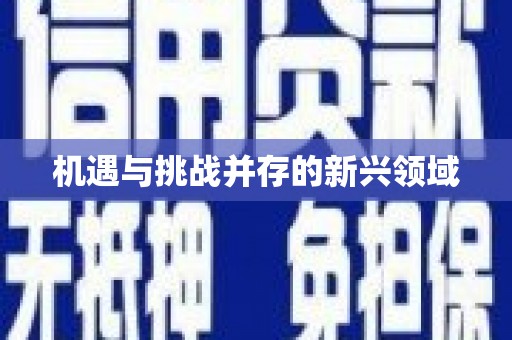 浈江机遇与挑战并存的新兴领域