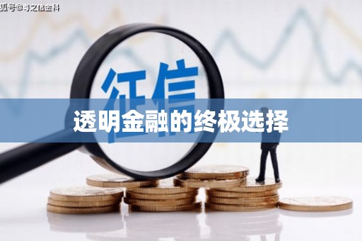 浈江透明金融的终极选择