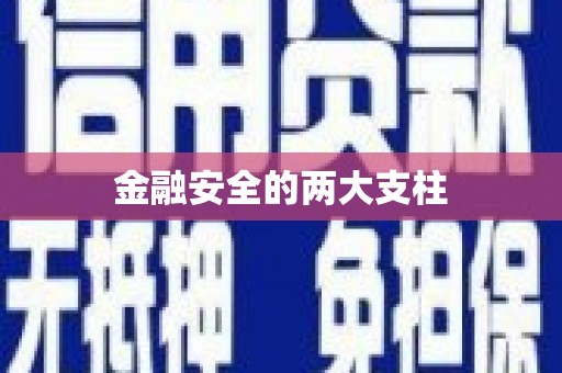 浈江金融安全的两大支柱