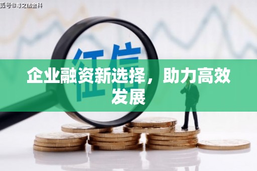 浈江企业融资新选择，助力高效发展