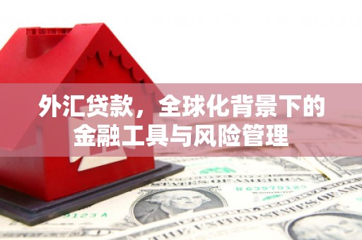浈江外汇贷款，全球化背景下的金融工具与风险管理