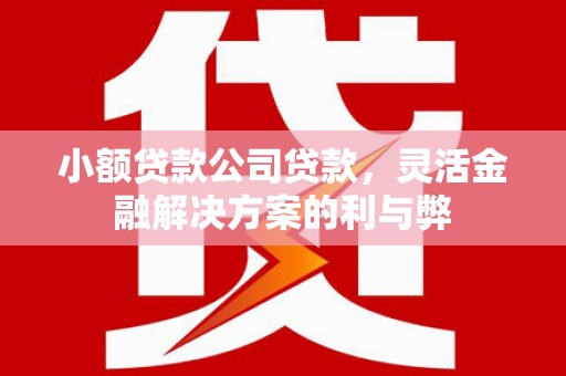 浈江小额贷款公司贷款，灵活金融解决方案的利与弊