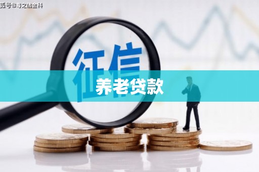 浈江养老贷款