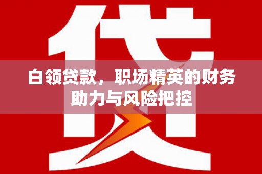 浈江白领贷款，职场精英的财务助力与风险把控